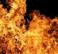 Pháp: Nổ lựu đạn tại một quán bar, nhiều người bị thương